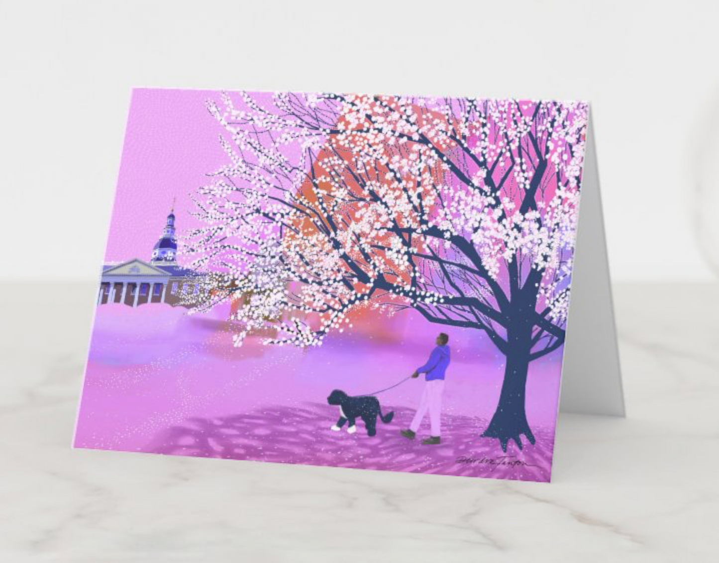 2024 Annapolis Notecards Box Set - Mostly Land Themed
