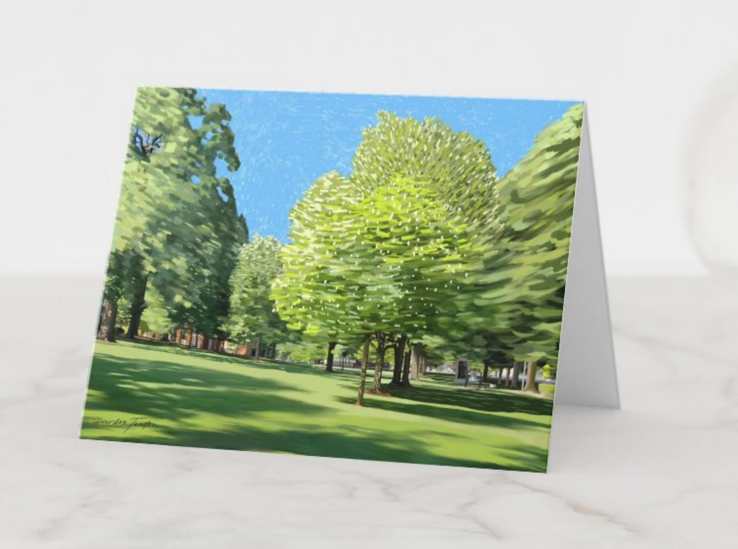 2024 Annapolis Notecards Box Set - Mostly Land Themed